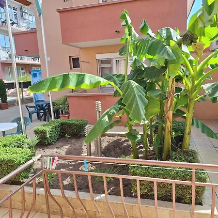 Guest house авеню